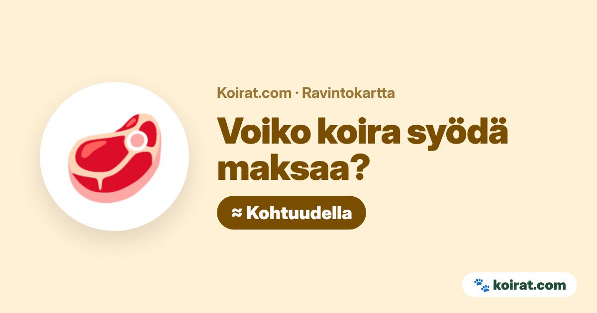 Voiko koira syödä maksaa? Kohtuudella