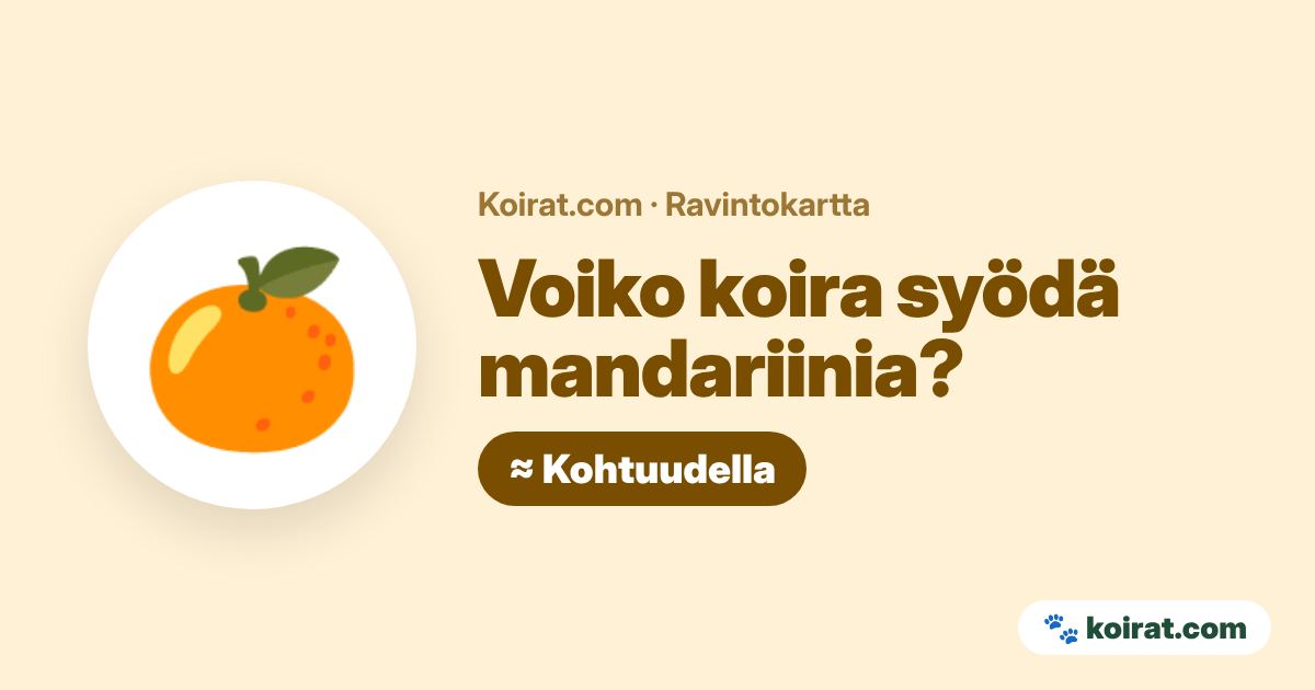 Voiko koira syödä mandariinia? Kohtuudella