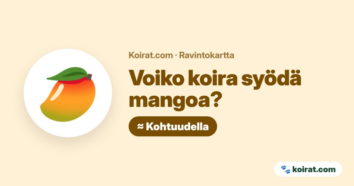 Voiko koira syödä mangoa? Kohtuudella