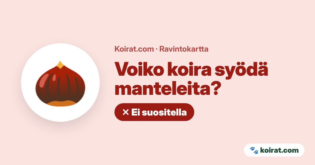 Voiko koira syödä manteleita? Ei