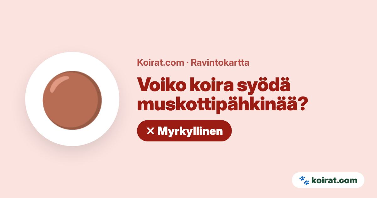 Voiko koira syödä muskottipähkinää? Ei, myrkyllistä
