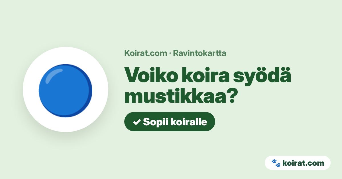 Voiko koira syödä mustikkaa? Kyllä