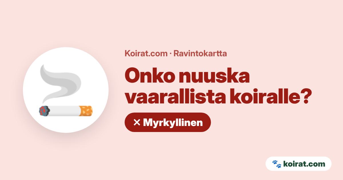 Onko nuuska vaarallista koiralle? Kyllä, myrkyllinen