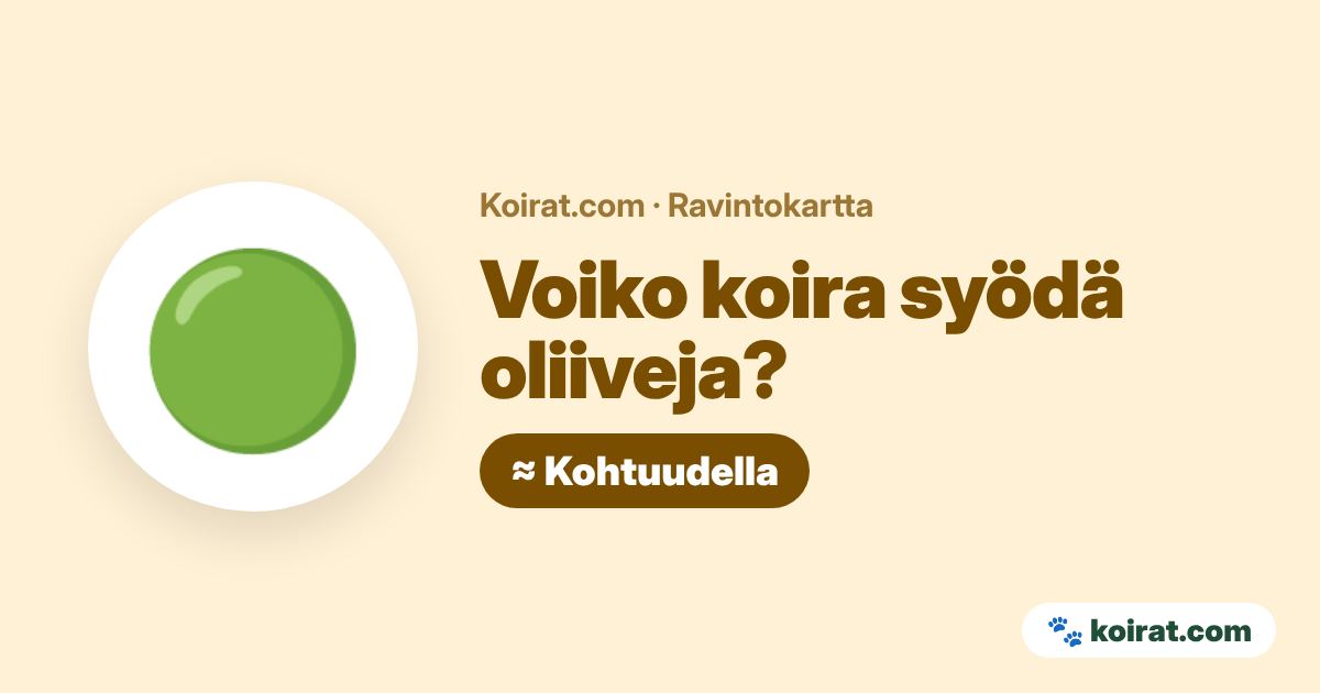 Voiko koira syödä oliiveja? Kohtuudella