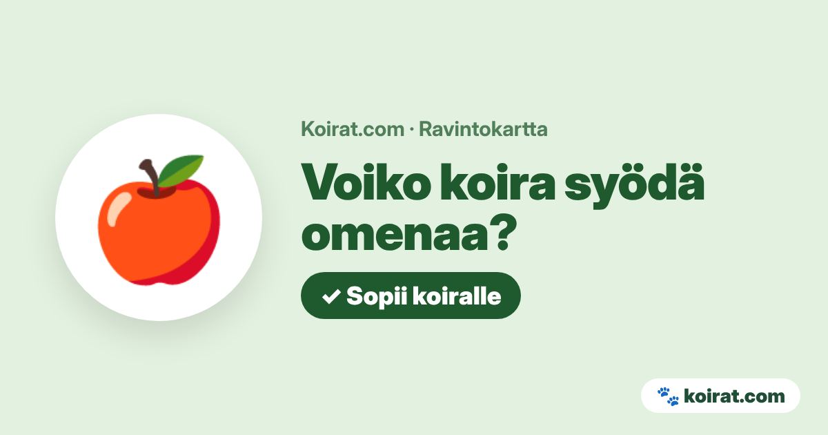 Voiko koira syödä omenaa? Kyllä