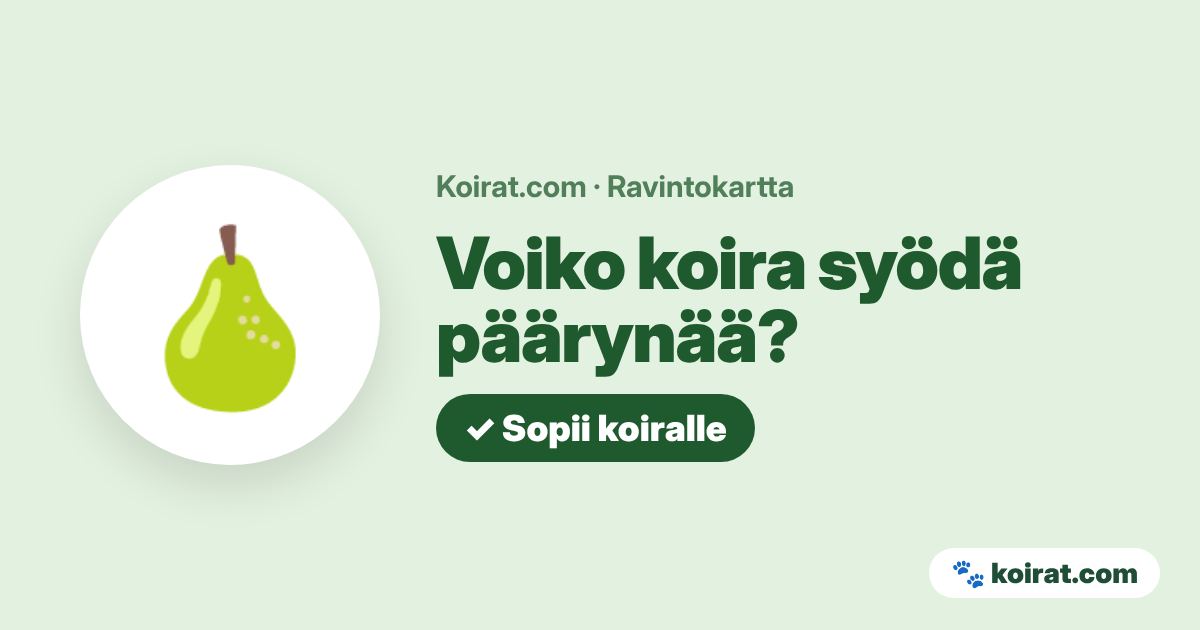 Voiko koira syödä päärynää? Kyllä
