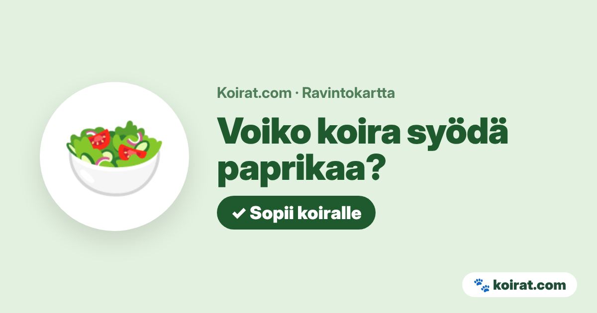 Voiko koira syödä paprikaa? Kyllä