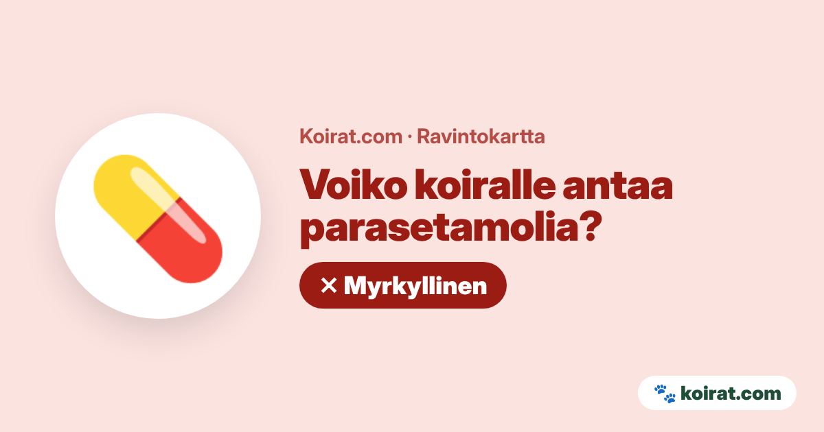 Voiko koiralle antaa parasetamolia? Ei, myrkyllistä