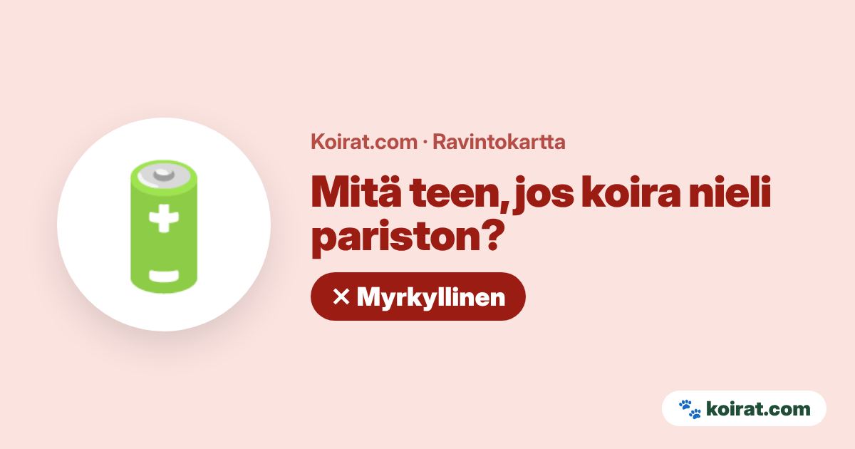 Mitä teen, jos koira nieli pariston? Toimi heti