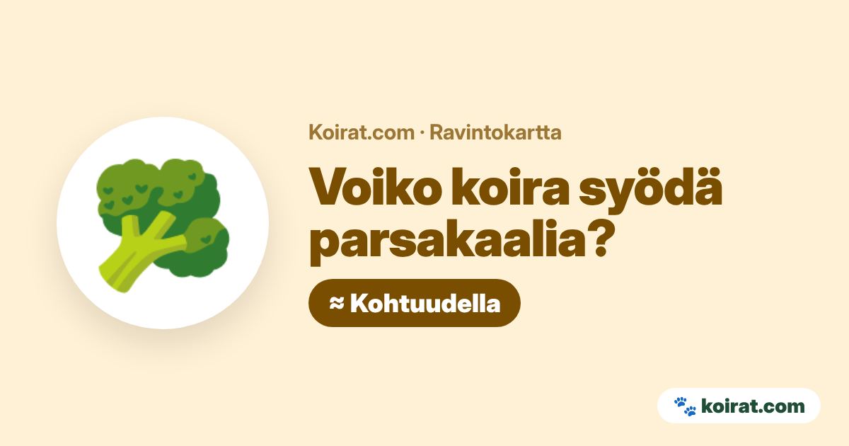 Voiko koira syödä parsakaalia? Kohtuudella