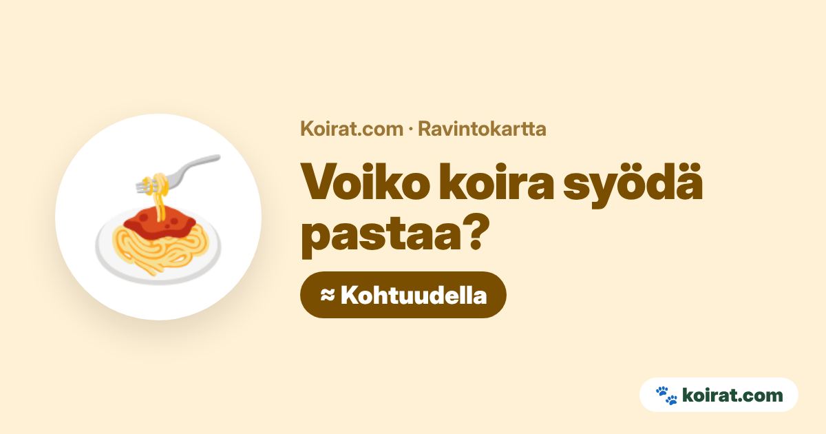 Voiko koira syödä pastaa? Kohtuudella