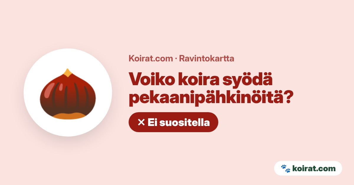 Voiko koira syödä pekaanipähkinöitä? Ei