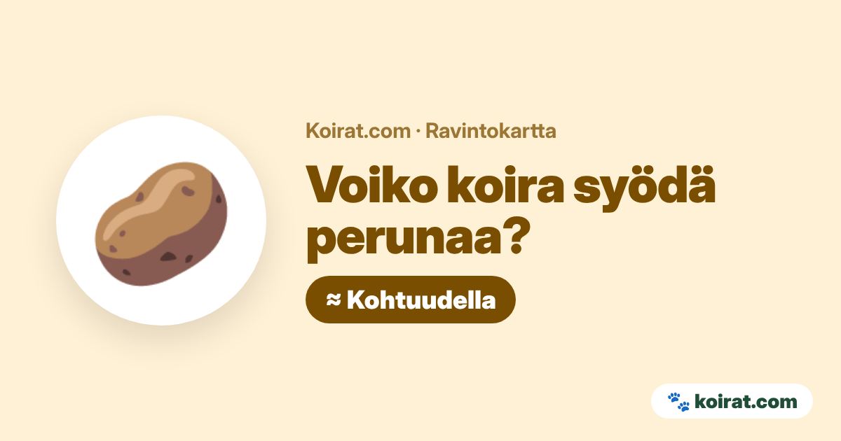 Voiko koira syödä perunaa? Kohtuudella