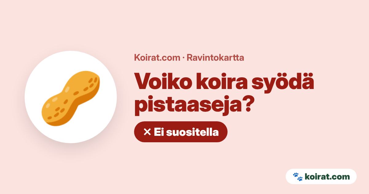 Voiko koira syödä pistaaseja? Ei