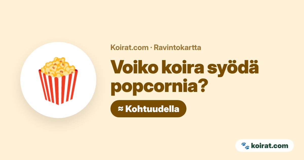 Voiko koira syödä popcornia? Kohtuudella