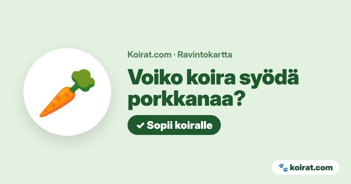 Voiko koira syödä porkkanaa? Kyllä