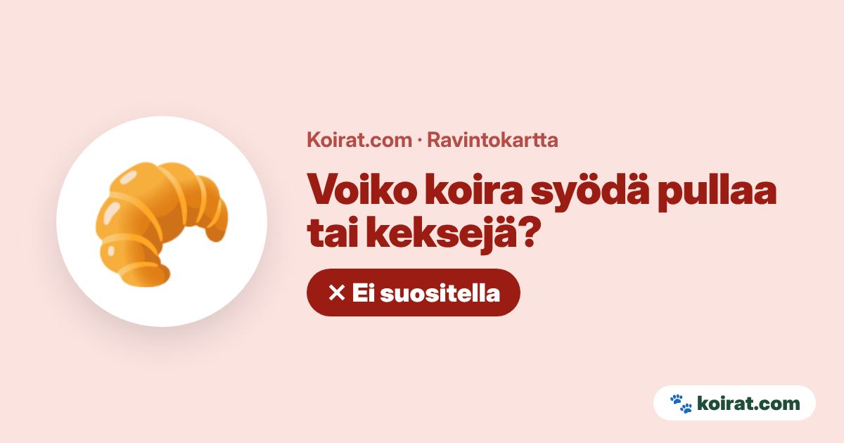 Voiko koira syödä pullaa tai keksejä? Ei