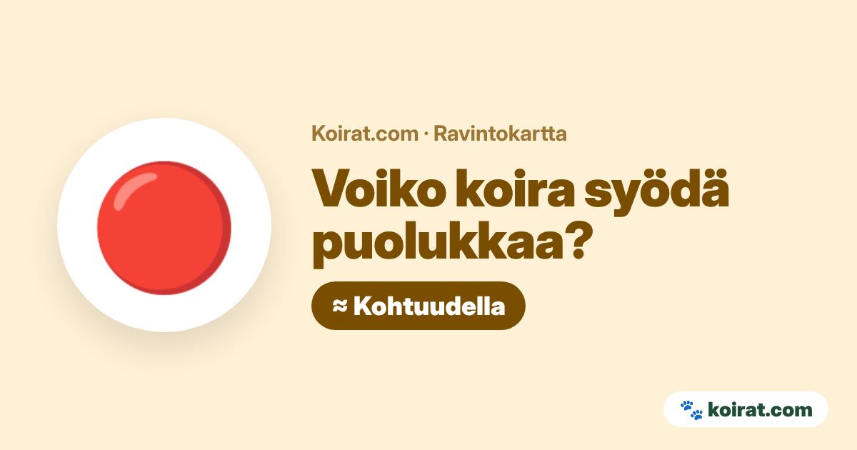 Voiko koira syödä puolukkaa? Kohtuudella