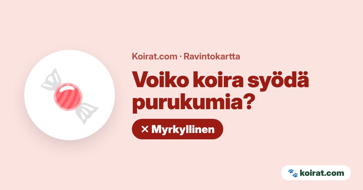 Voiko koira syödä purukumia? Ei, myrkyllistä