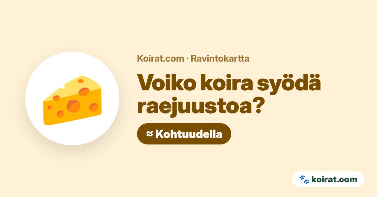Voiko koira syödä raejuustoa? Kohtuudella