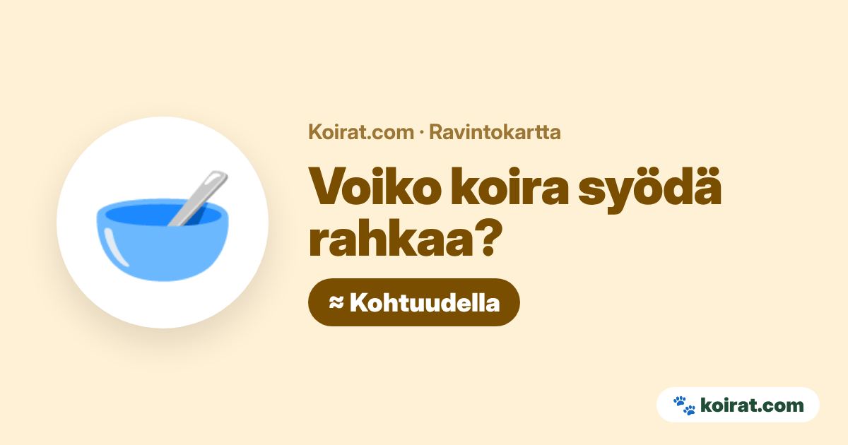 Voiko koira syödä rahkaa? Kohtuudella