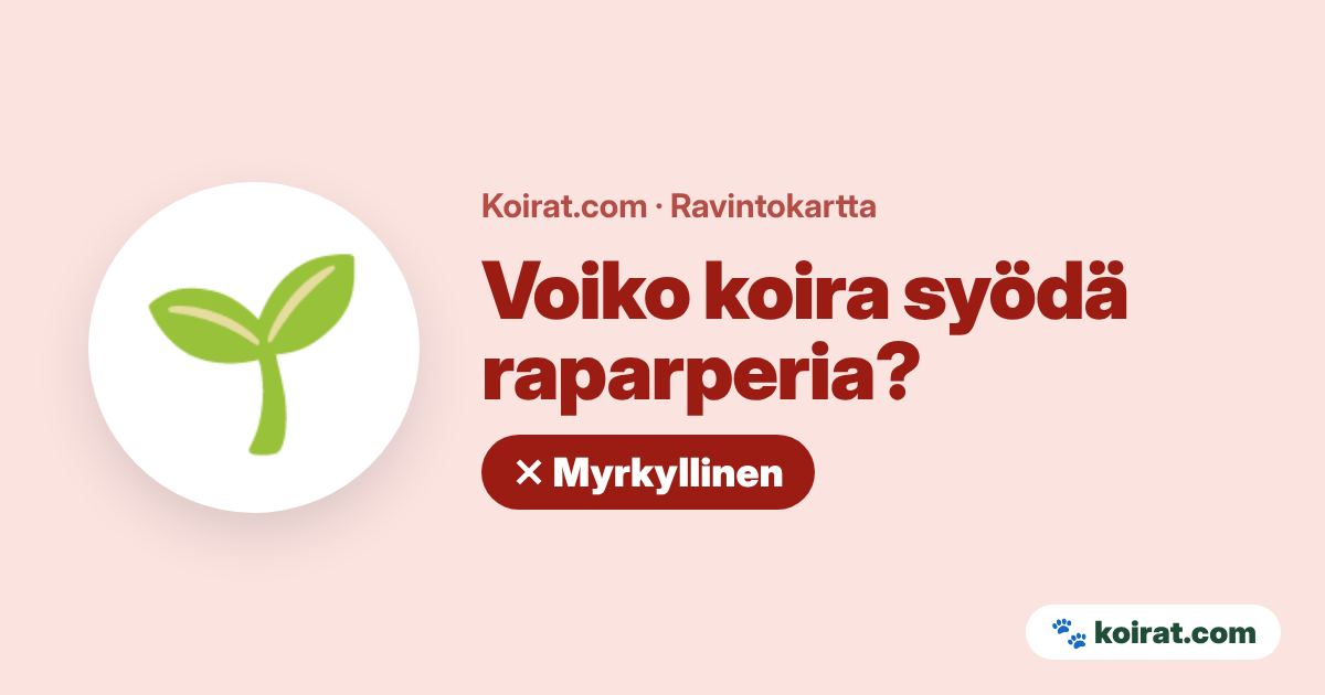 Voiko koira syödä raparperia? Ei, myrkyllistä