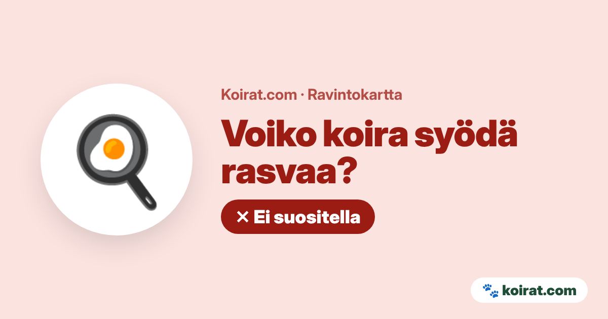 Voiko koira syödä rasvaa? Ei