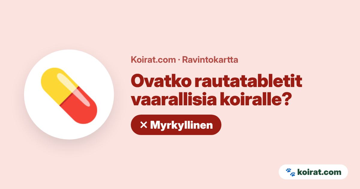Ovatko rautatabletit vaarallisia koiralle? Kyllä, myrkyllinen