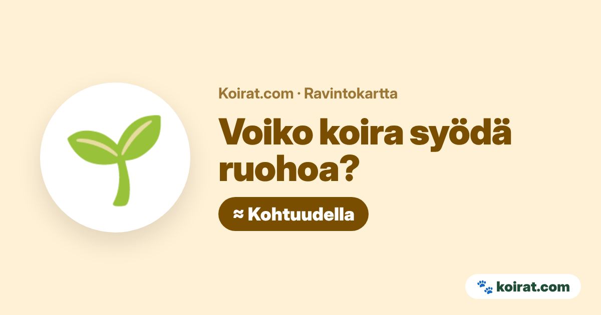 Voiko koira syödä ruohoa? Kohtuudella