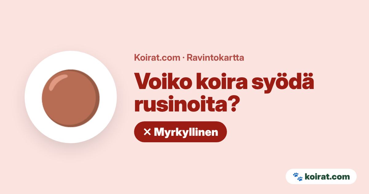 Voiko koira syödä rusinoita? Ei, myrkyllistä