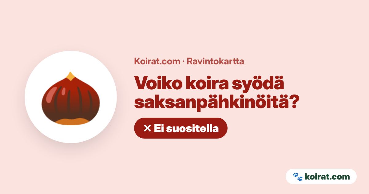 Voiko koira syödä saksanpähkinöitä? Ei