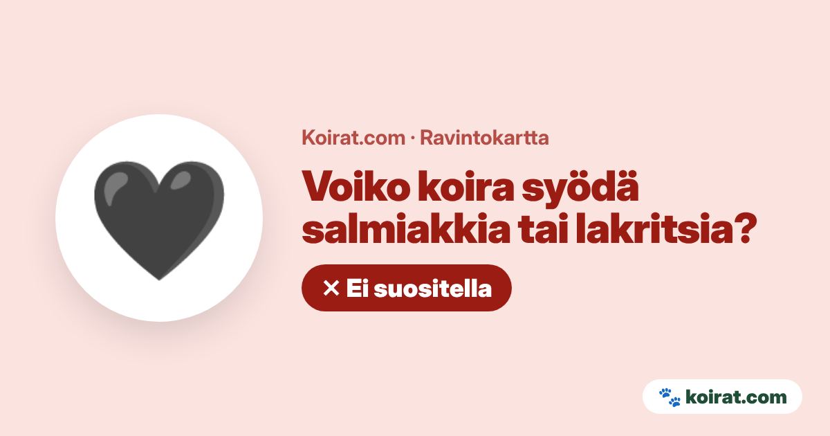 Voiko koira syödä salmiakkia tai lakritsia? Ei