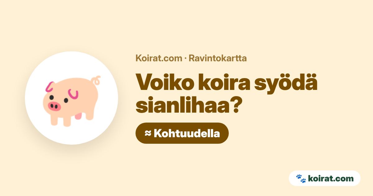 Voiko koira syödä sianlihaa? Kohtuudella