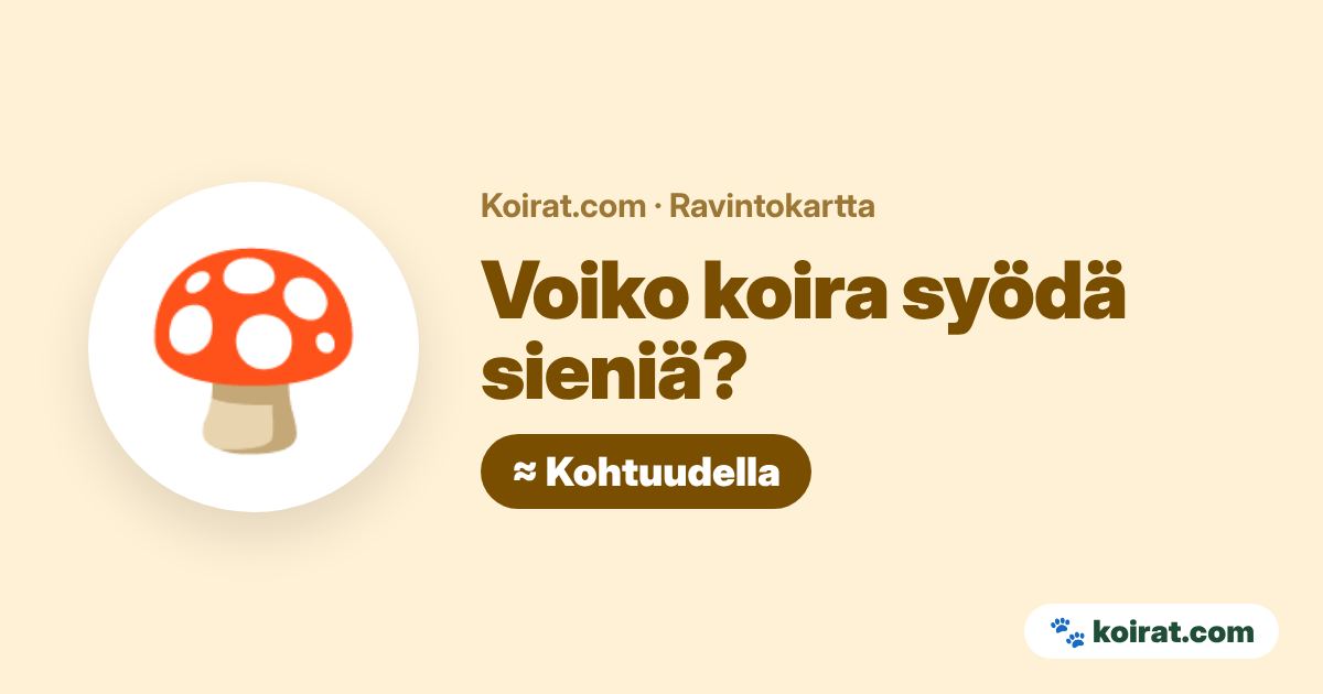 Voiko koira syödä sieniä? Kohtuudella