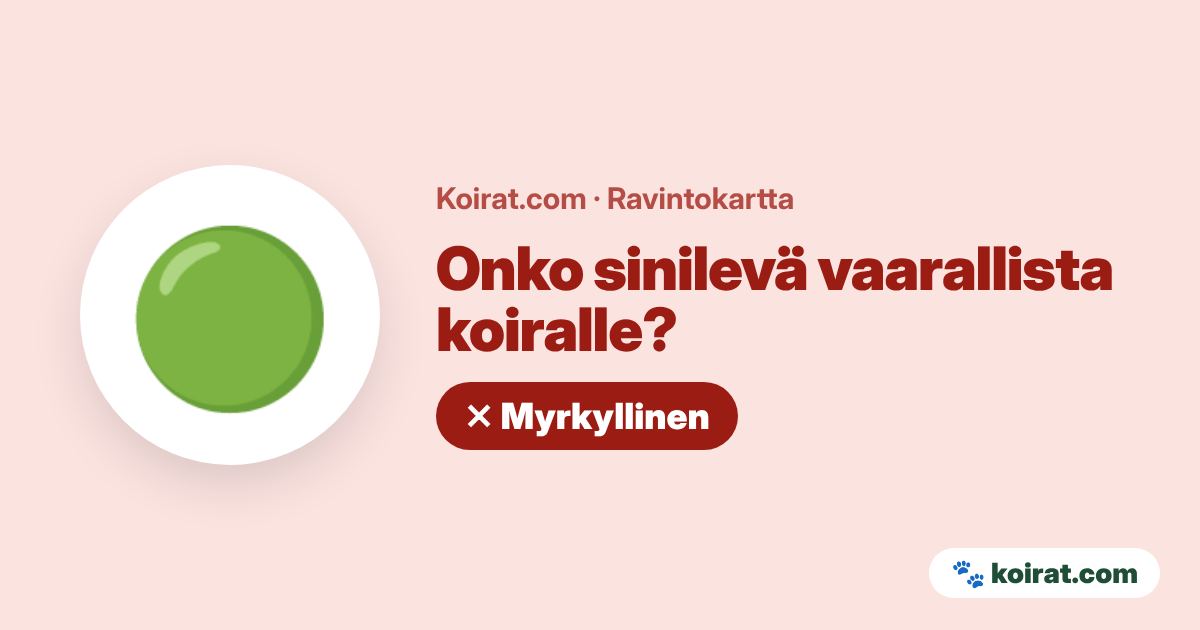 Onko sinilevä vaarallista koiralle? Kyllä, myrkyllinen