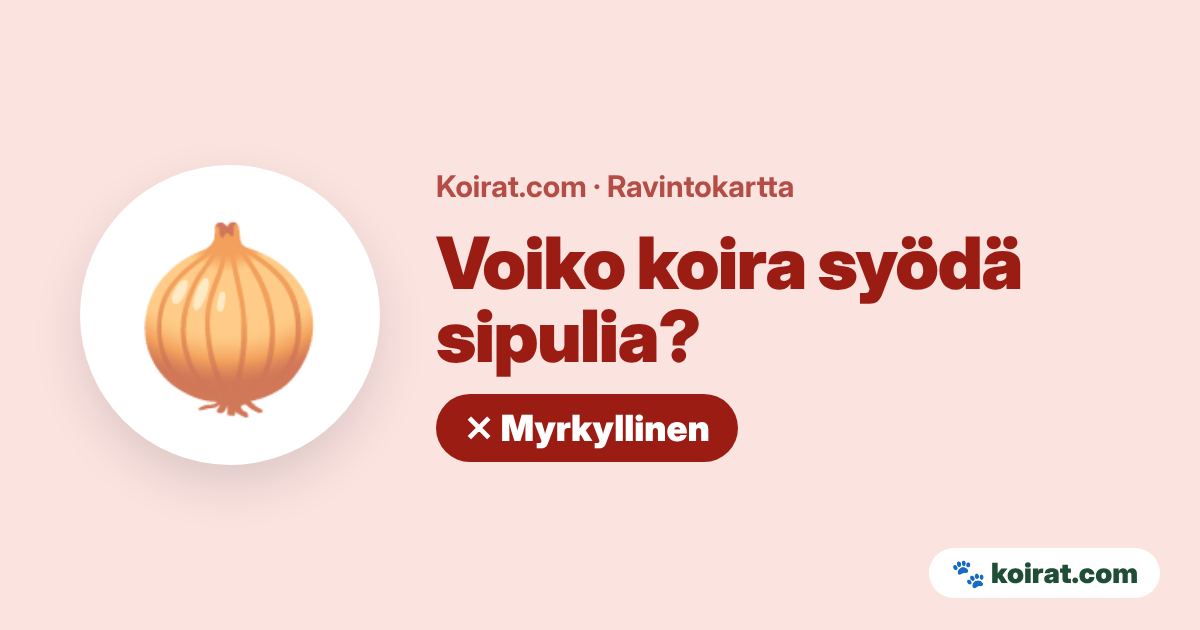 Voiko koira syödä sipulia? Ei, myrkyllistä