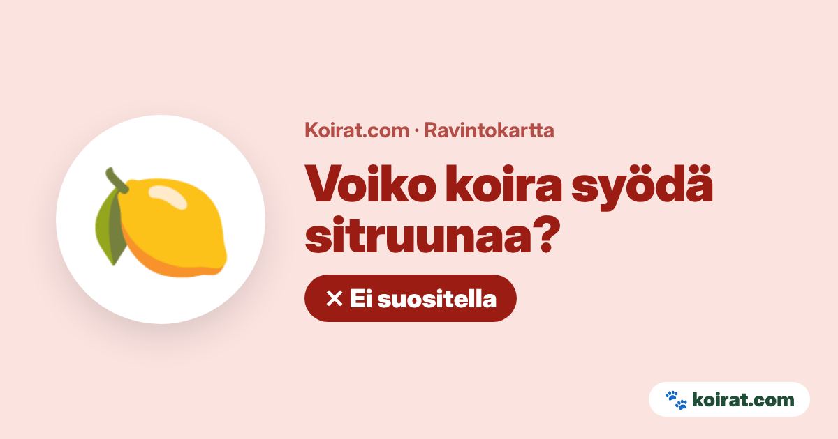 Voiko koira syödä sitruunaa? Ei