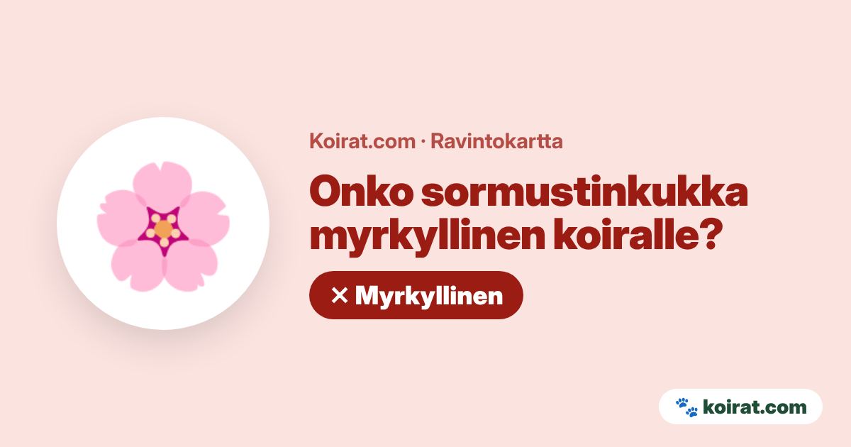 Onko sormustinkukka myrkyllinen koiralle? Kyllä, myrkyllinen