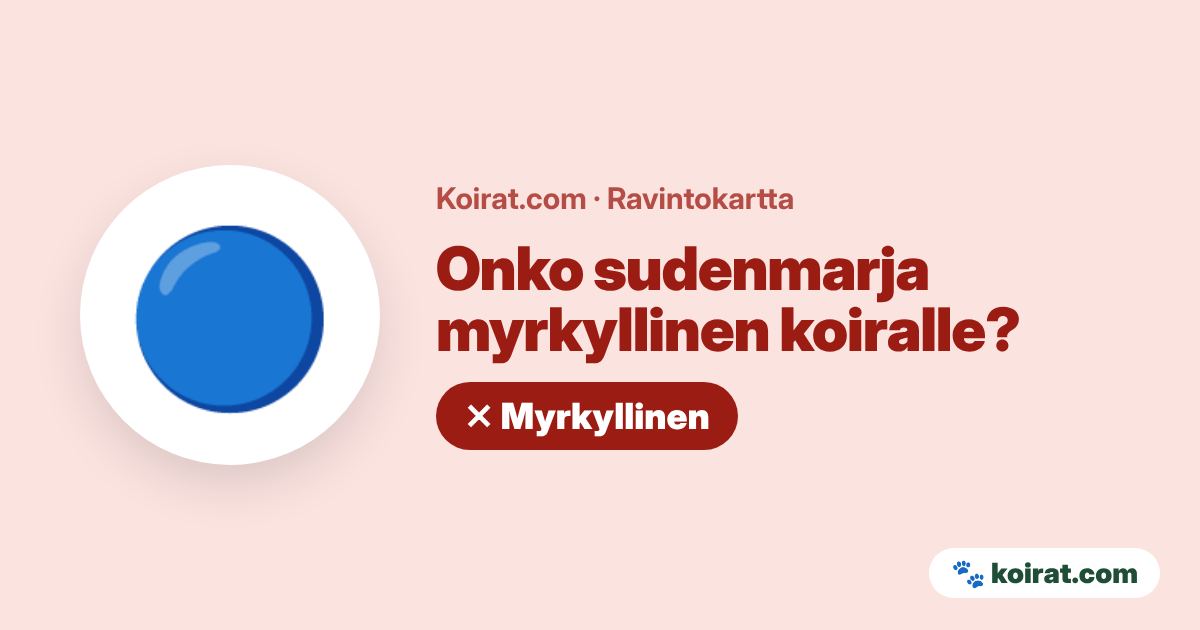 Onko sudenmarja myrkyllinen koiralle? Kyllä, myrkyllinen