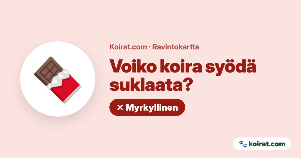 Voiko koira syödä suklaata? Ei, myrkyllistä