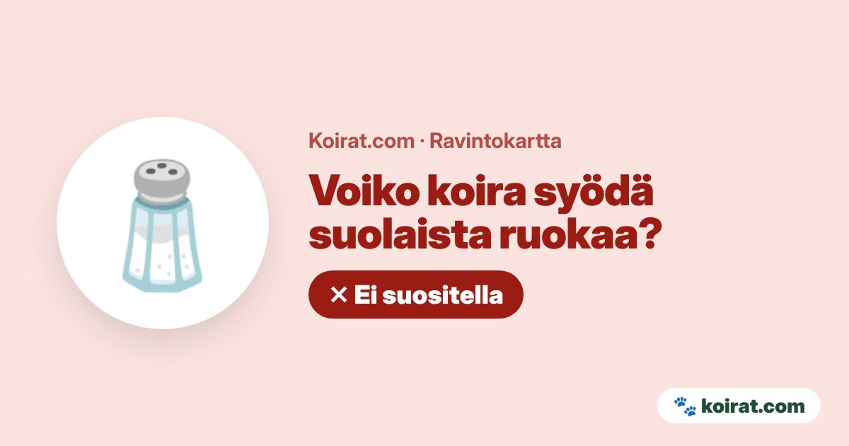 Voiko koira syödä suolaista ruokaa? Ei