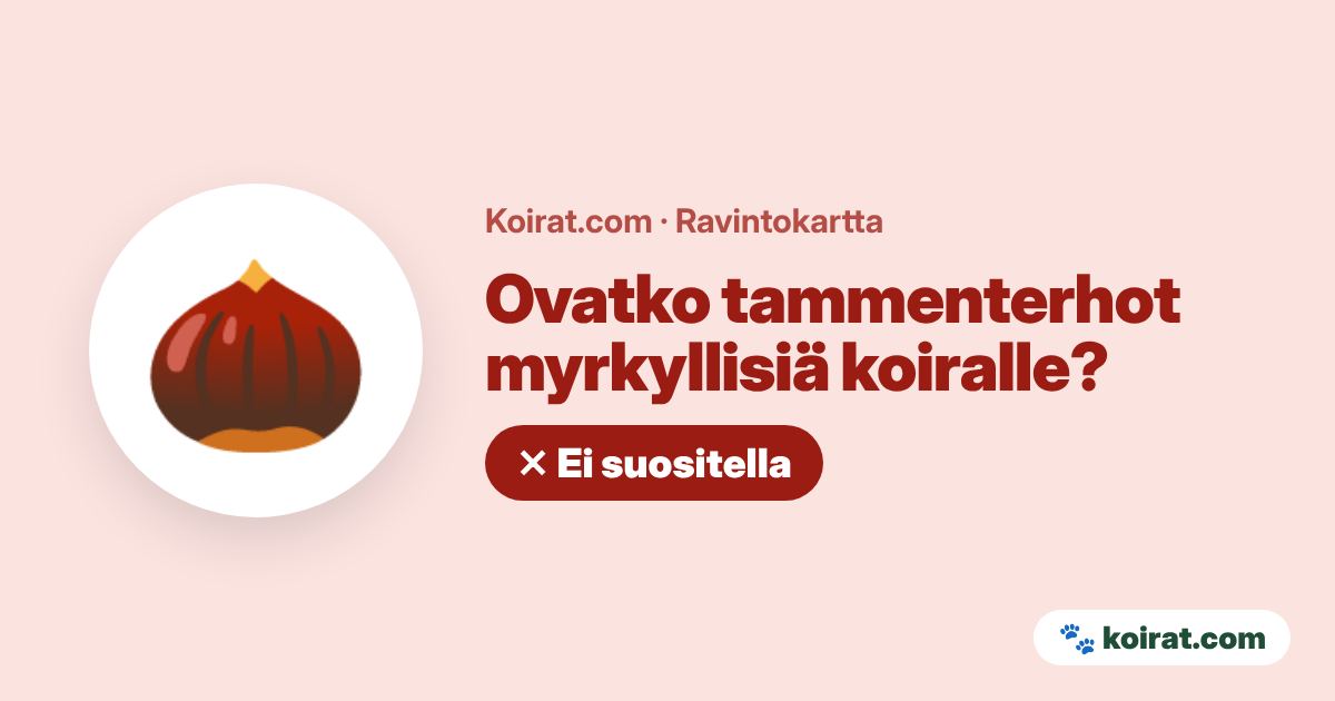 Ovatko tammenterhot myrkyllisiä koiralle? Vaarallinen