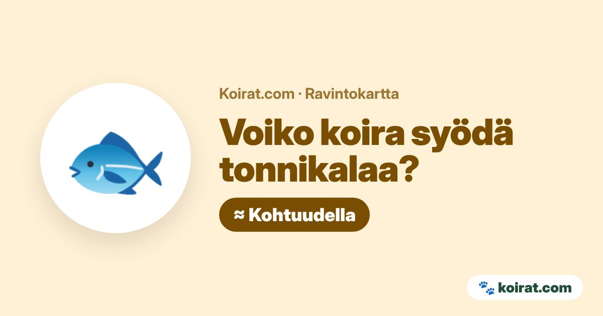 Voiko koira syödä tonnikalaa? Kohtuudella