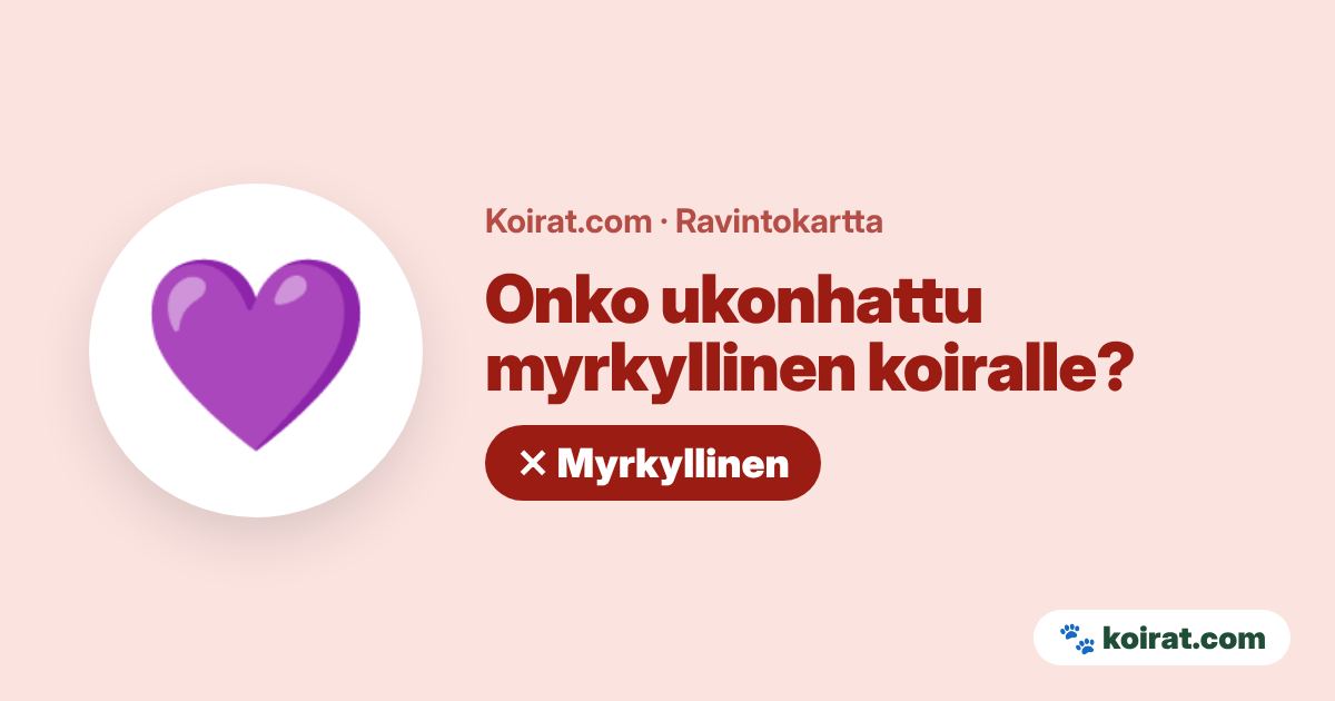 Onko ukonhattu myrkyllinen koiralle? Kyllä, myrkyllinen