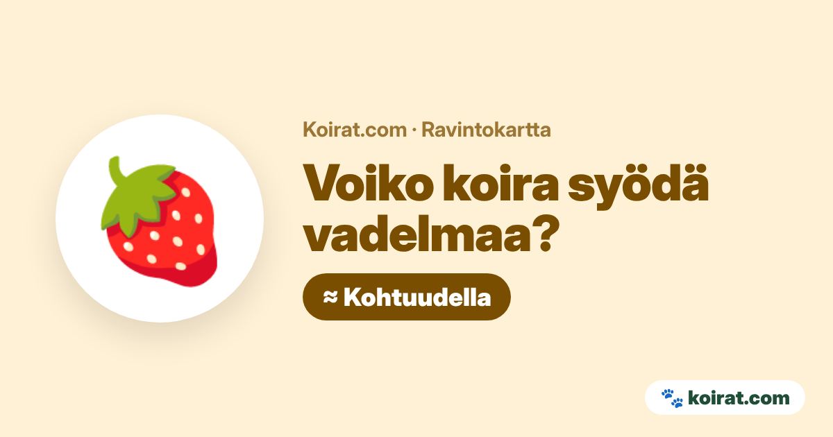 Voiko koira syödä vadelmaa? Kohtuudella