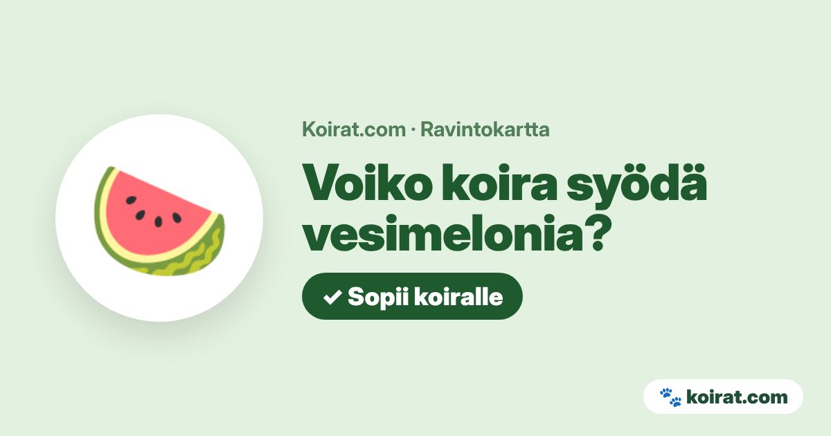 Voiko koira syödä vesimelonia? Kyllä