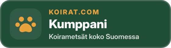 Tumma merkki
